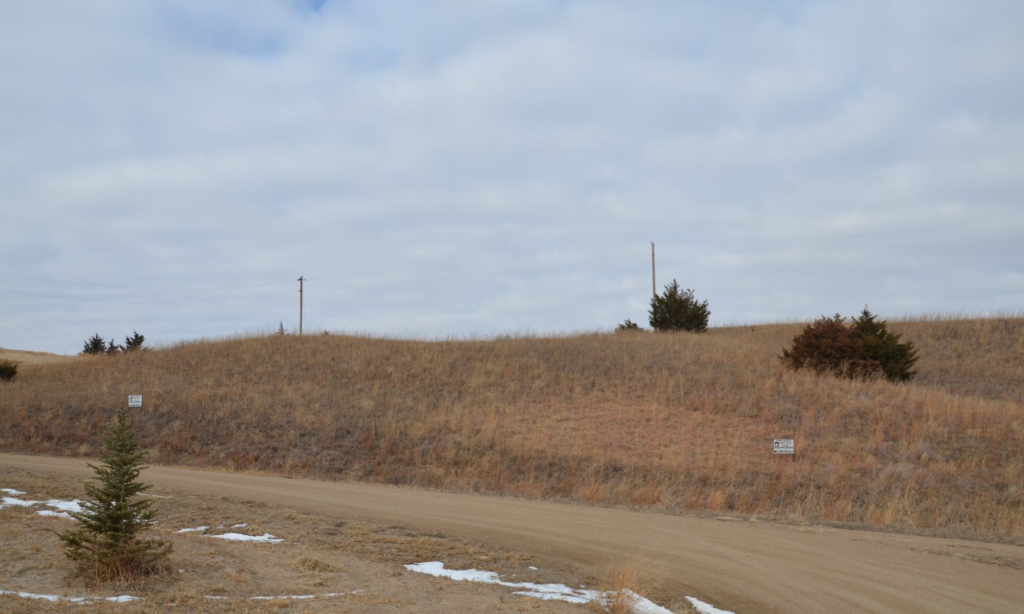 Wolf, Inc. Auction and Real Estate Real Estate