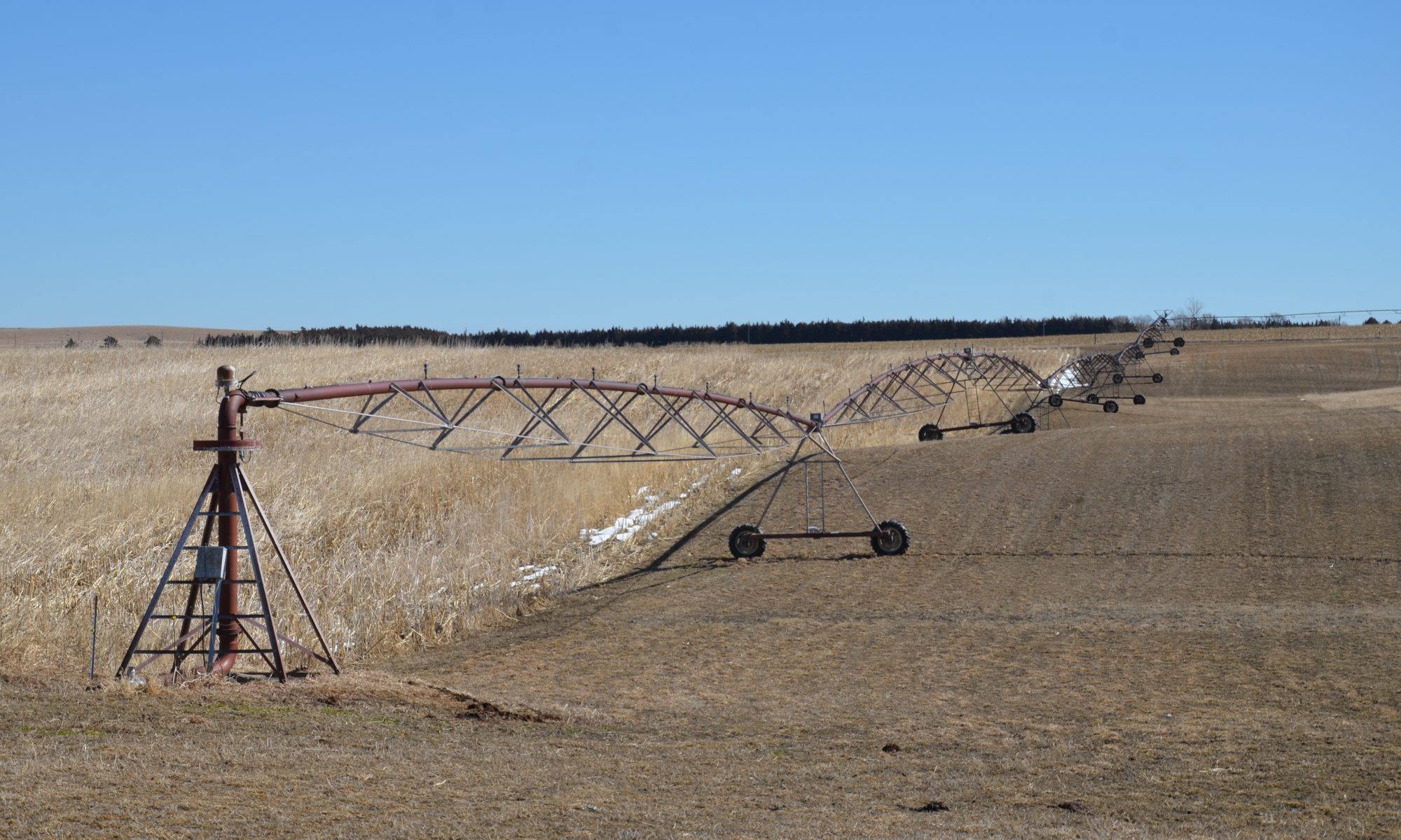 Wolf, Inc. Auction and Real Estate Real Estate