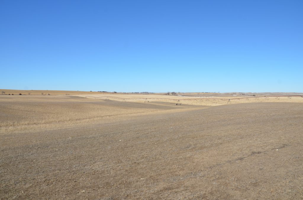 Pivot irrigated cropland for sale in Valley County, Nebraska