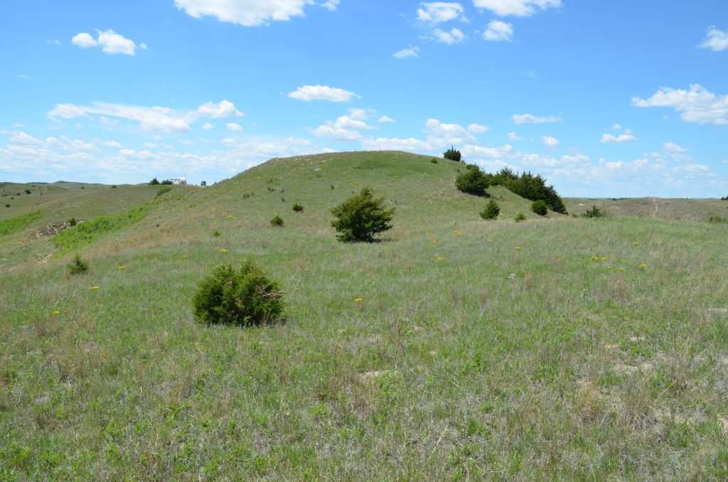 7.07 +/- Acres of Native Pasture Land, Calamus Lake, Nebraska