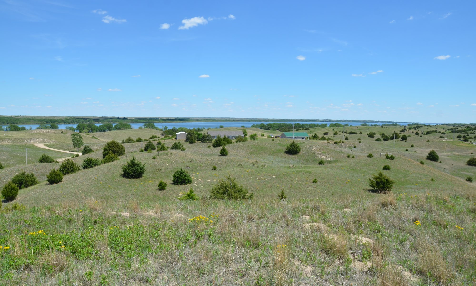 Wolf, Inc. Auction and Real Estate Real Estate