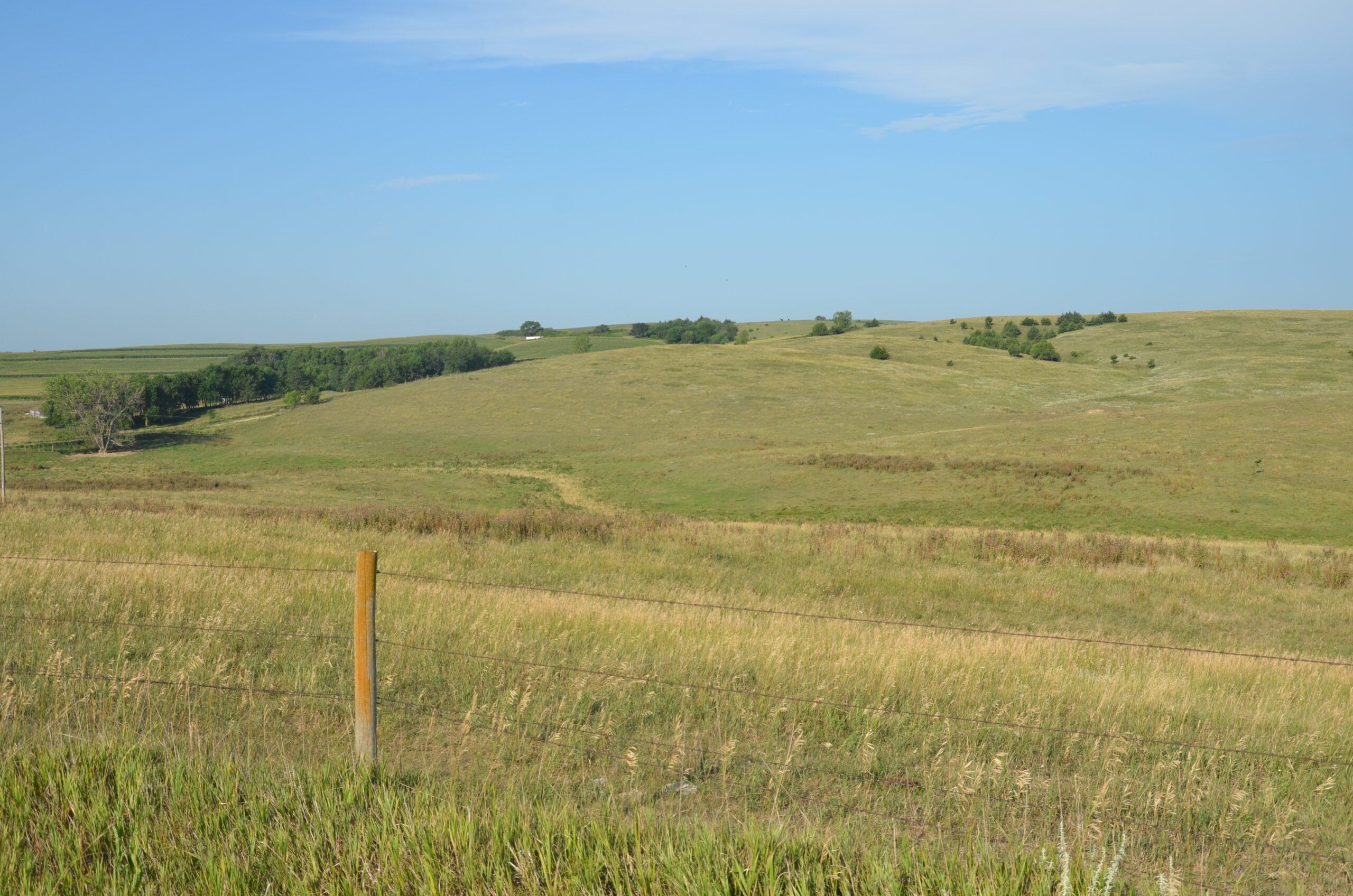 Valley County Absolute Auction On 865.91+/ Acres Of Pivot Irrigated
