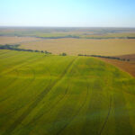 320+/- Acres Of Valley County Nebraska Cropland Selling At Absolute Auction