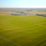 320+/- Acres Of Valley County Nebraska Cropland Selling At Absolute Auction