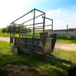 cattle chute