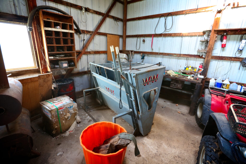 cattle feeder
