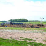cattle yards