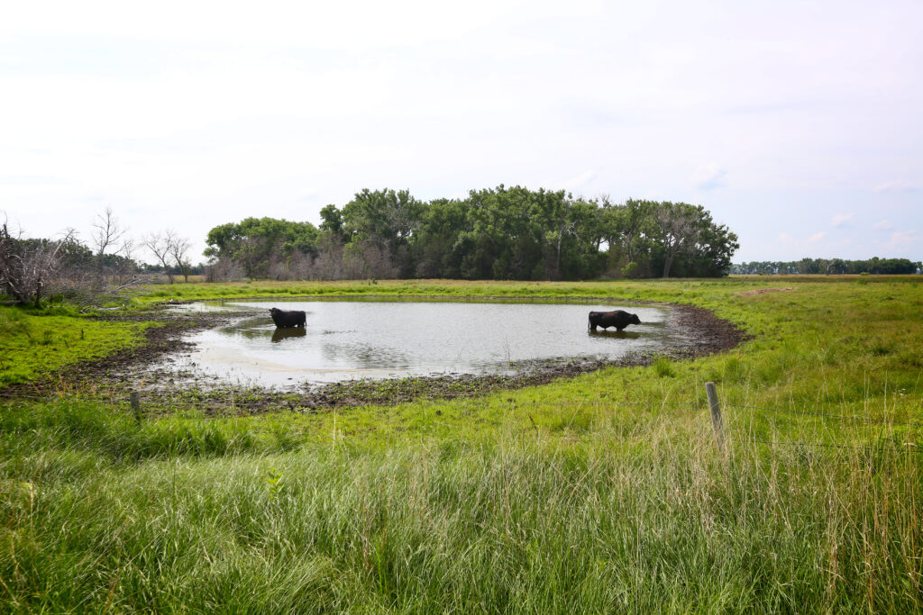 Sandhills West Ranch for Sale in Rock County, Nebraska pasture land with water