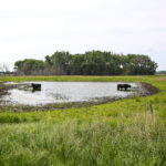 Sandhills West Ranch for Sale in Rock County, Nebraska pasture land with water