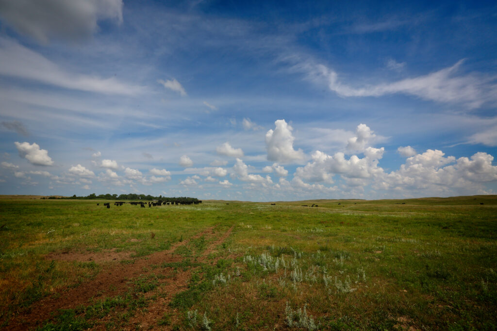 Spring Valley West Ranch, Nebraska pasture land