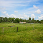 Spring Valley West Ranch, Nebraska pasture land