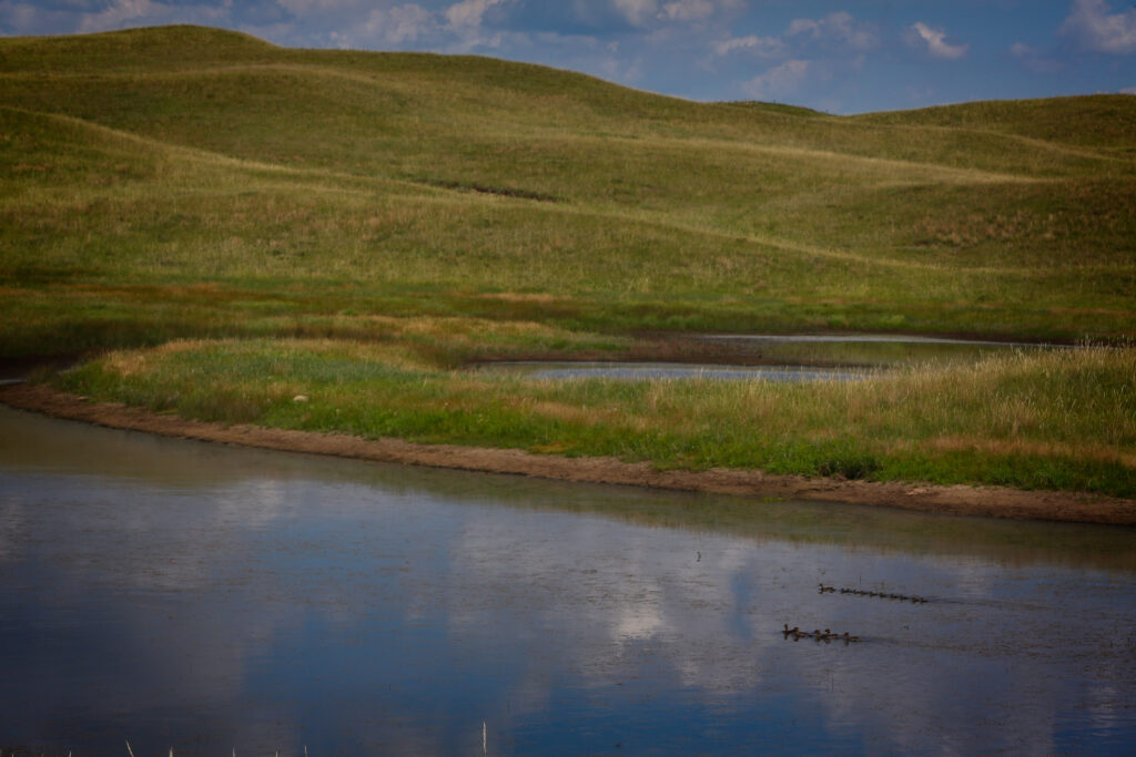 Spring Valley West Ranch, Nebraska pasture land with water
