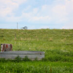 Spring Valley East Ranch, Nebraska