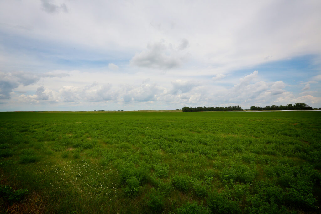 Spring Valley East Ranch