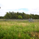 Spring Valley East Ranch