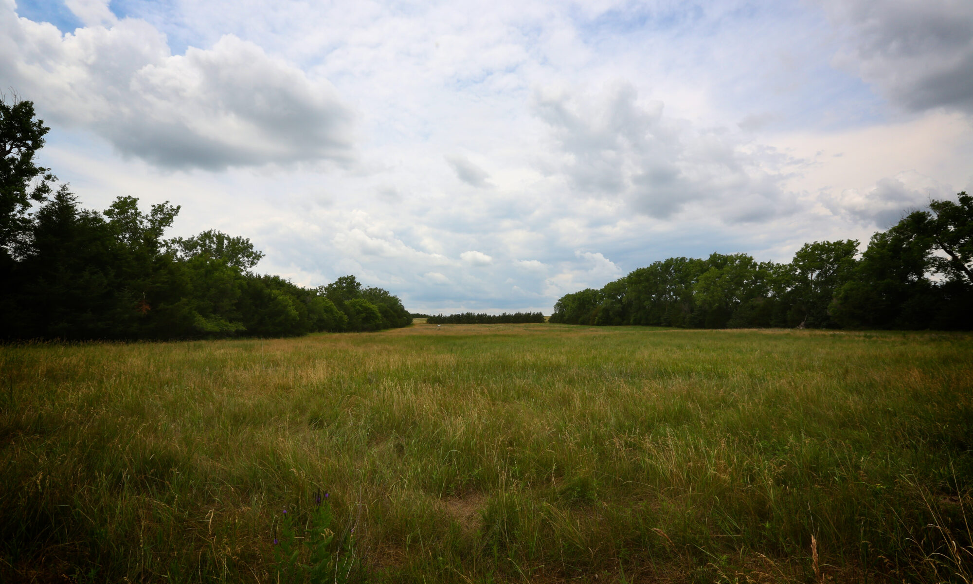 Spring Valley East Ranch, Nebraska