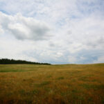 Spring Valley East Ranch, Nebraska