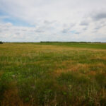 Spring Valley East Ranch, Nebraska