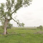 15.5+/- Acre Absolute Real Estate Auction, Burwell, NE